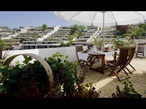 Plantas de interior ideales para terrazas en áticos