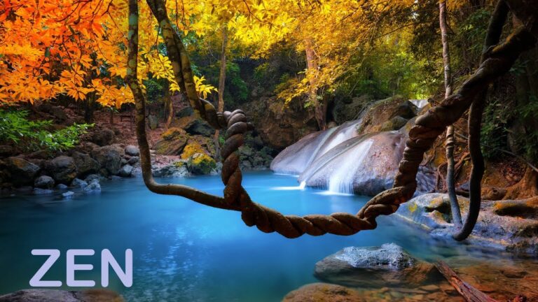 Espacio Relajado para Merendar: Disfruta de un Momento de Tranquilidad