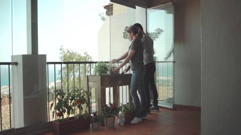 Porches acristalados: conexi&oacute;n con la naturaleza