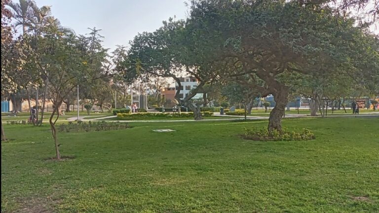 Espacio de picnic tranquilo: el lugar perfecto para relajarse