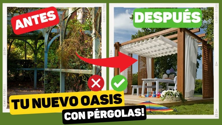 Terrazas con Pérgola: El Espacio Perfecto