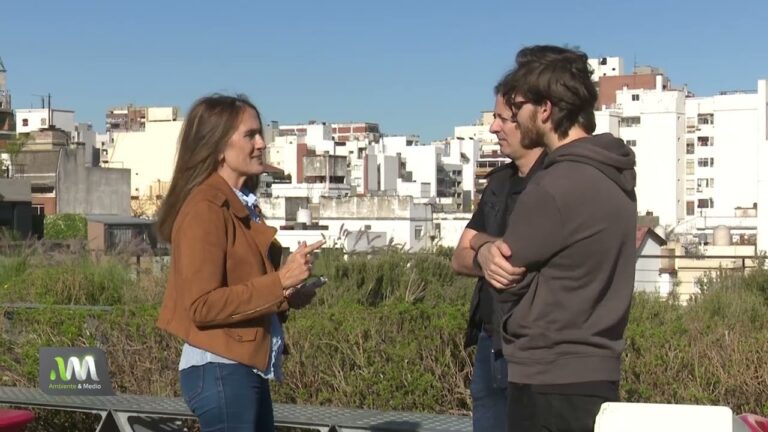 Espacios verdes en rooftops: optimizando el uso del espacio urbano