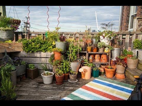 Rooftops: Cultivos Orgánicos en las Alturas