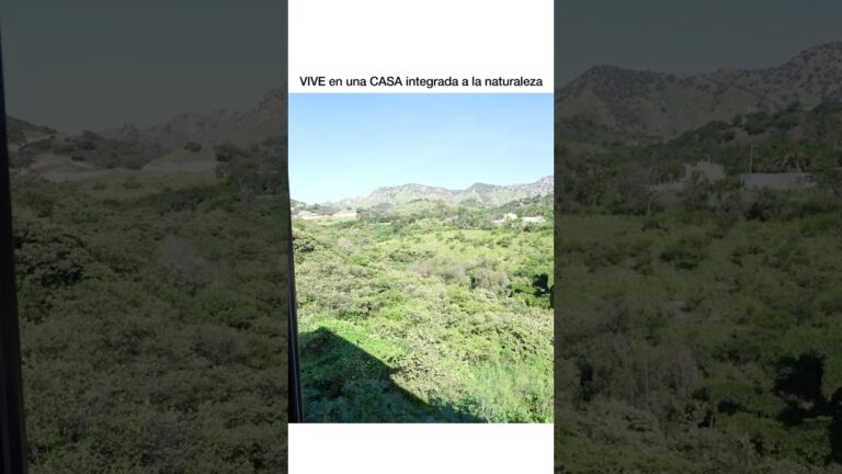 Terrazas integradas: armonía con la naturaleza