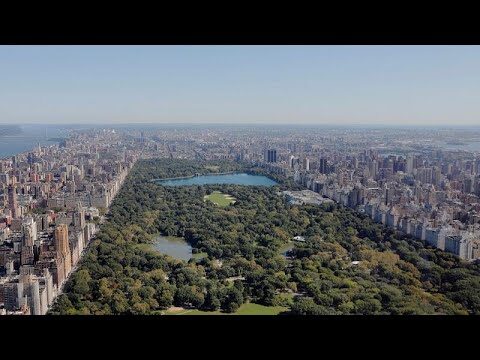 Ventajas de Vivir en Áticos en Edificios Altos