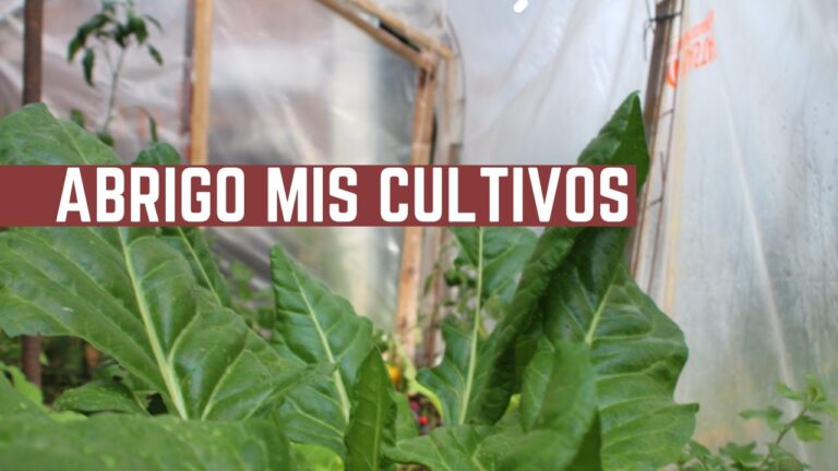 Terrazas protegidas: c&oacute;mo mantenerlas calientes en invierno