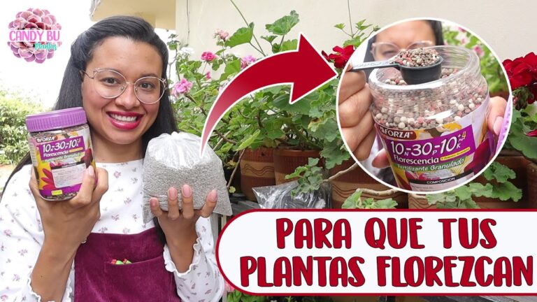 Consejos para un balc&oacute;n acristalado en armon&iacute;a con la naturaleza