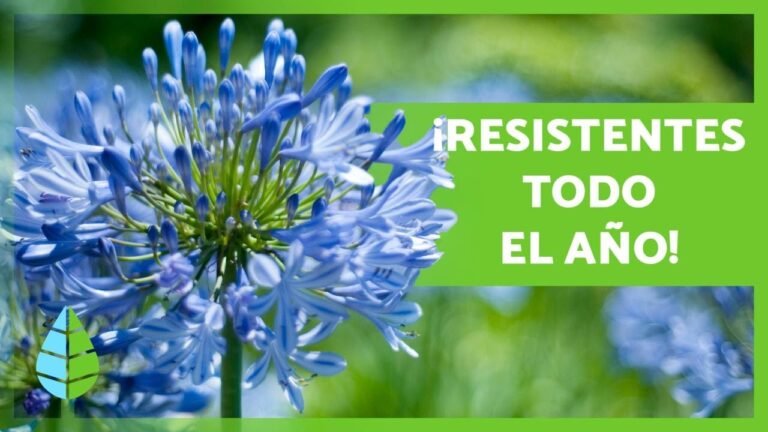 Refugios verdes: Terrazas acristaladas