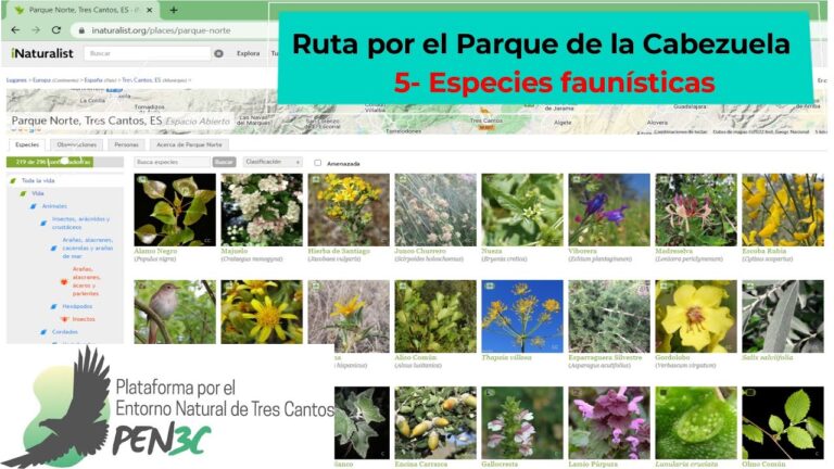 Zonas de Relax en la Naturaleza: Tu Escape Perfecto