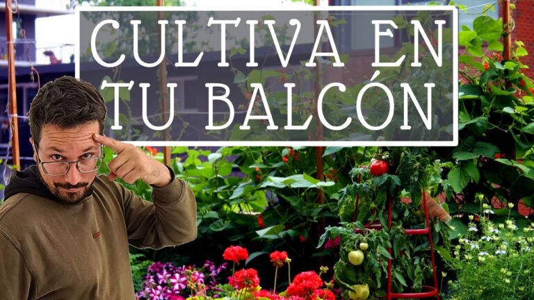 10 ideas para convertir tu balcón en un invernadero urbano