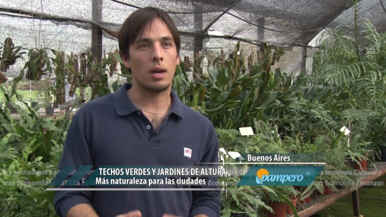 Jardines Verticales: La Belleza en Altura