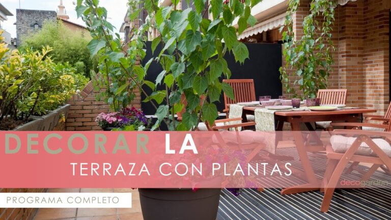 Tranquilidad en Áticos: Creando Ambientes Serenos